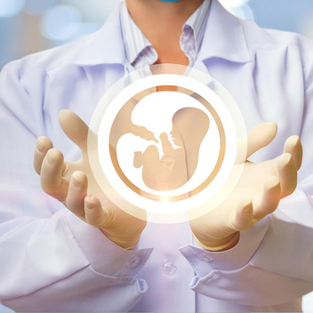 Полезные рекомендации перед ЭКО