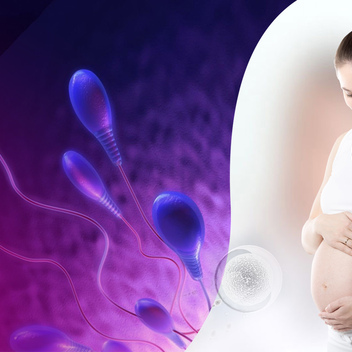 ЭКО в другом городе